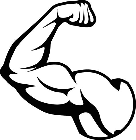 Muscle PNG