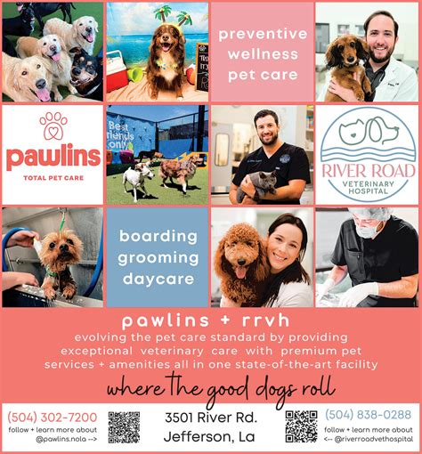 PETS Summer 2023 by Gambit New Orleans - Issuu