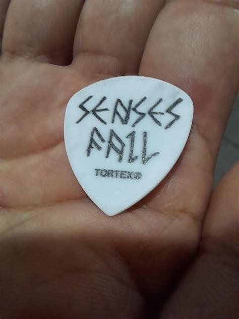 Finally got to see them live and they were more amazing than I could