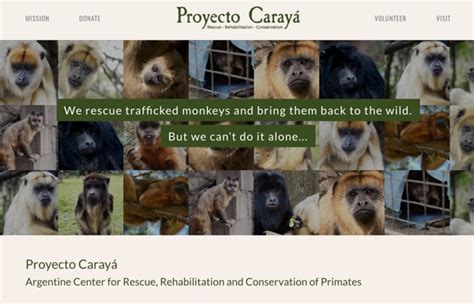 How we changed the game for Proyecto Caraya in a day - Charity Makeover