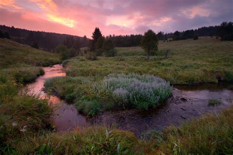 Ráno v Údolí Křemelné | národní park Šumava - Galerie: Údolí Křemelné