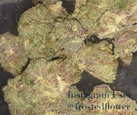 Purple Haze Marijuana Strain Information & Reviews | AllBud