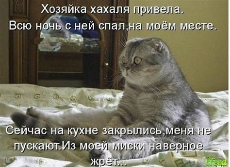 что-то тут не так