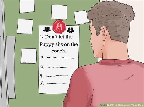 3 Ways to Discipline Your Dog - wikiHow Pet
