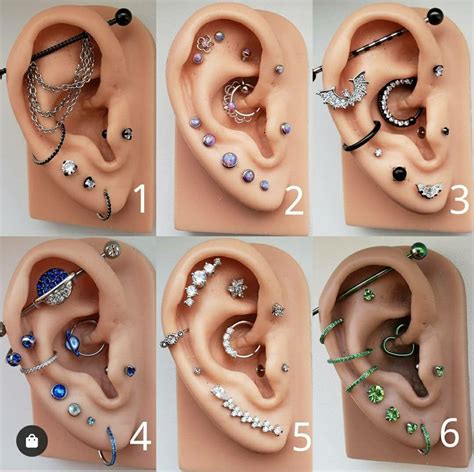 Ear Piercing Infographic Chart Black And Blue Poster - vrogue.co