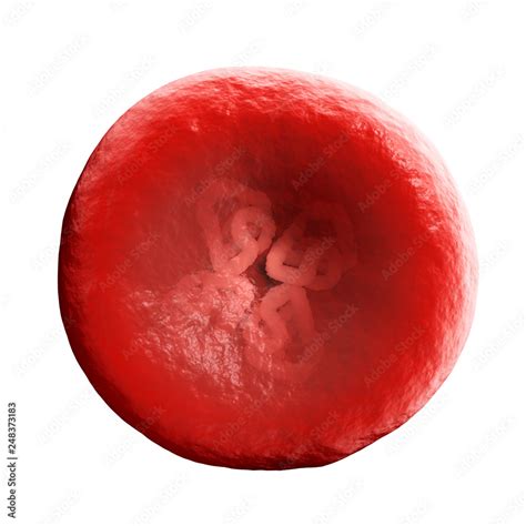 Hemoglobin, haemoglobin, Hb or Hgb, is the iron-containing oxygen ...