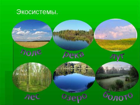 Презентация "Экосистема" - скачать бесплатно