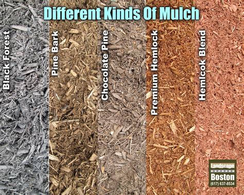 48 different mulching materials – Artofit