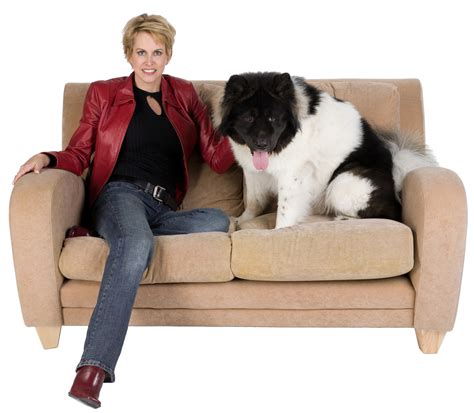 Clean Dog Vomit Off Leather Couch at Benjamin Hutchison blog