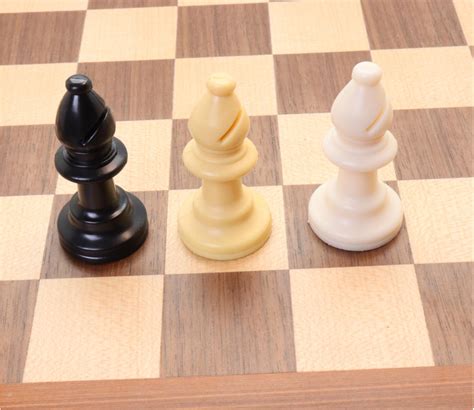 Pion fou échec en plastique pour jeu de société. Pion joueur à l'unité