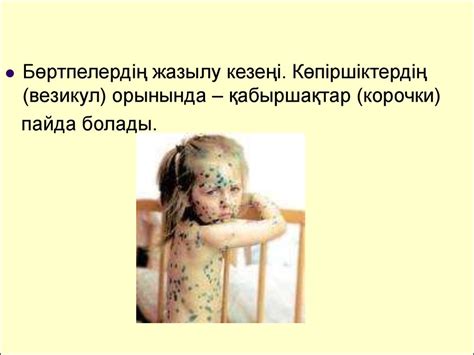 Желшешек - презентация онлайн