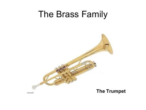 4 brass-family