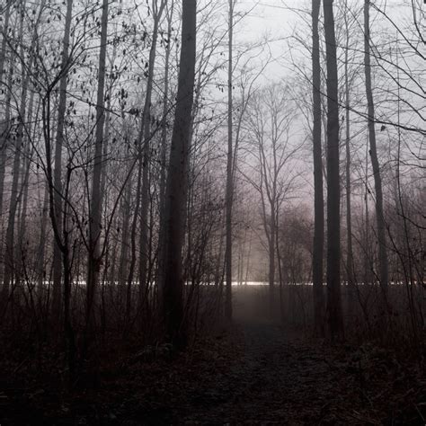 Lumen on Behance