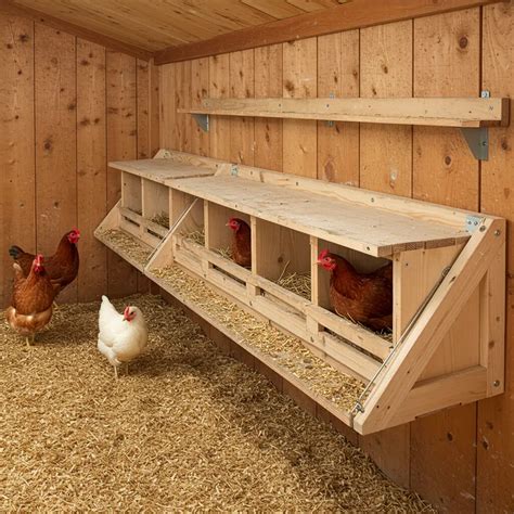 10 Space-Saving Ideas for Creating DIY Nesting Boxes for Chickens to ...