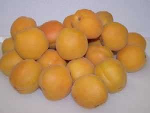 Apricot facts and picking tips