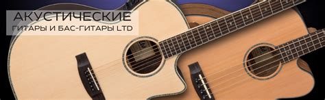 ESP Guitars