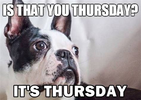 112 Funny Thursday Memes to Get You Through Week – FunZumo