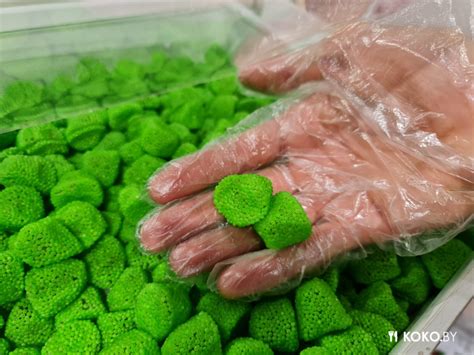 Как впасть в детство. Разнесли первый магазин желатинок «Мятный Кит ...