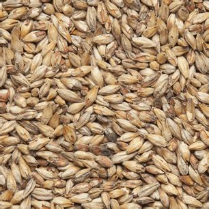 Солод Melano Light Malt ~ 40 EBC Castle Malting 1 кг от производителя в ...