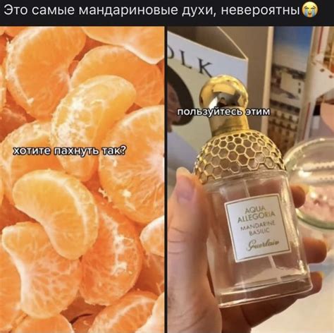 Пин от пользователя Гусева Анастасия Анатольевна на доске Купить | Духи ...