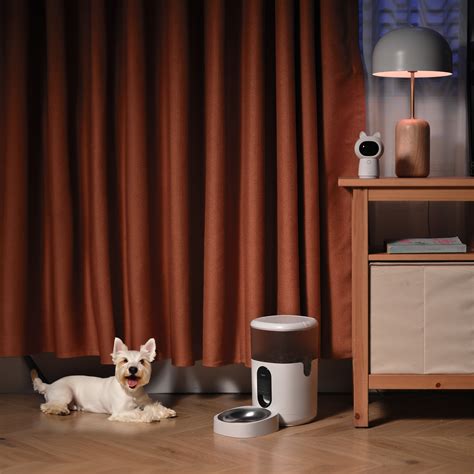 Artificial intelligence will soon review every pet smart application 3