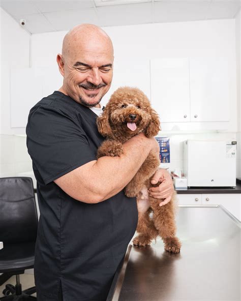 Do Cats Get Lice? Signs, Causes, and Treatment