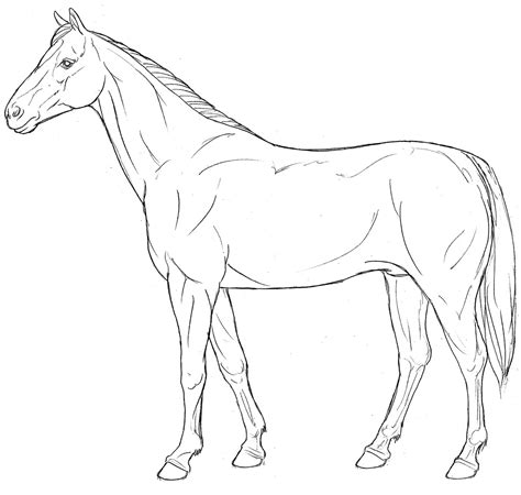 horse equine  art carlson stock art