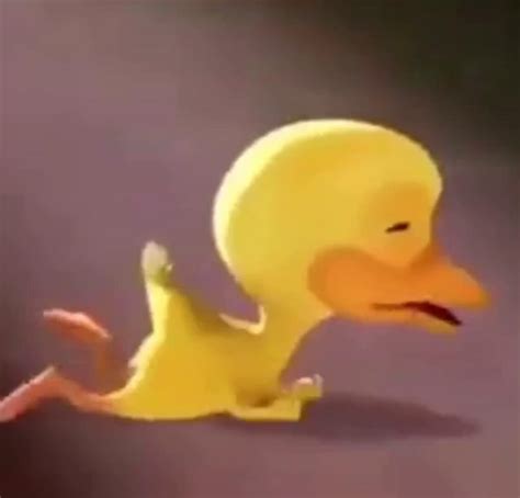 Crying duck Memes - Piñata Farms - The best meme generator and meme ...