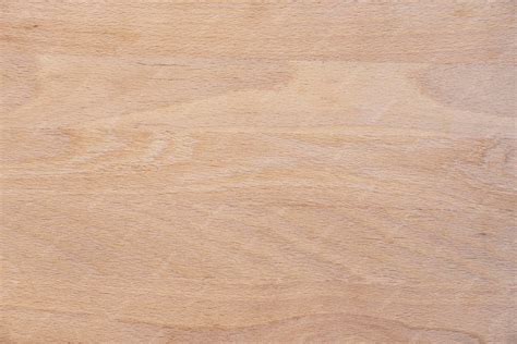 premium photo unvarnished beech wood vector wood texture background
