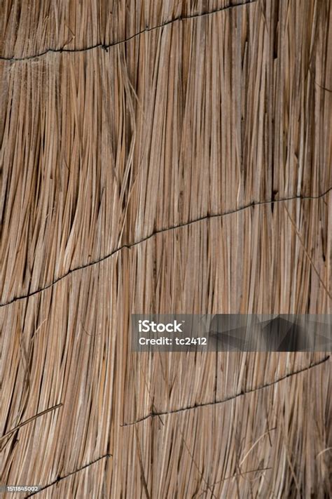 tekstur atap jerami foto stok  gambar  alam alang