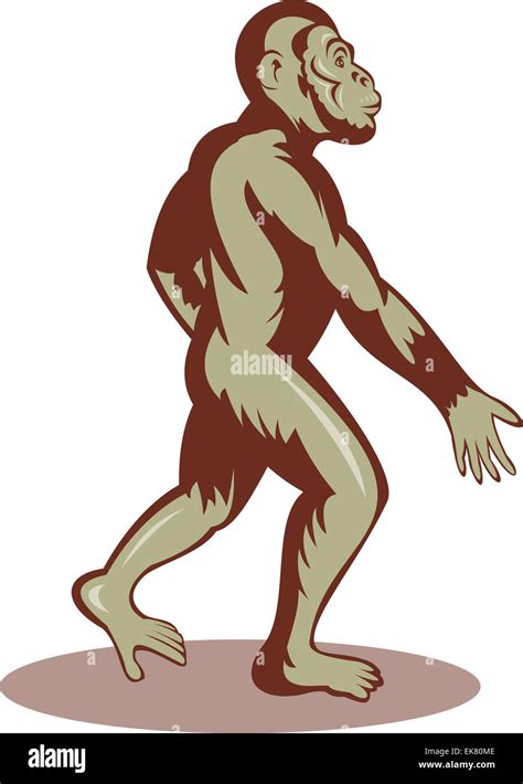 Prehistoric man or ape walking upright Stock Photo - Alamy