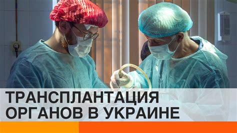 Трансплантация органов в Украине: что ждет пациентов и врачей - YouTube