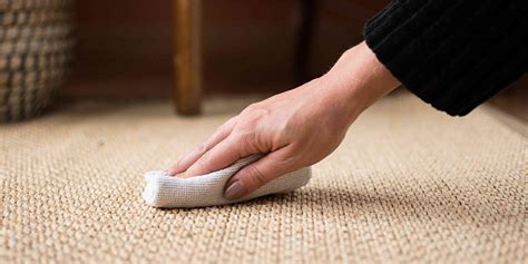 Carpet Cleaning Tips And Tricks To Retain The Former Shine