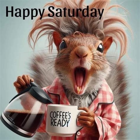 funny saturday memes images pics   happy weekend artofit