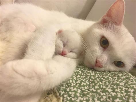 We're drowning coins in a wishing well