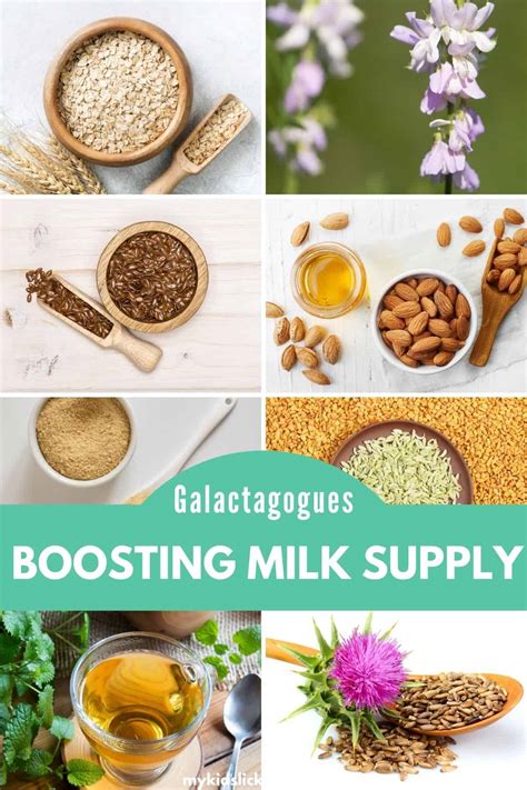 Galactagogues: Breast milk producing things - My Kids Lick The Bowl