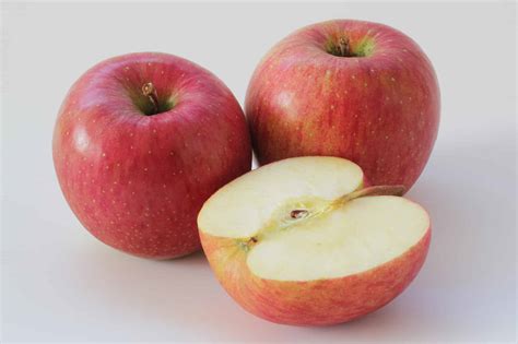 heaviest apple  grown weighed   normal apples