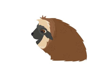 side profile   sloth svg cut file  creative fabrica crafts
