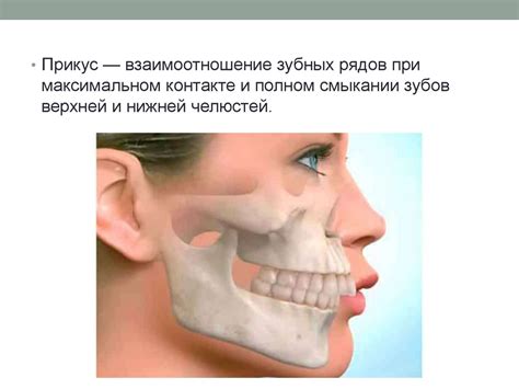 Прикусы. Виды патологических прикусов - online presentation