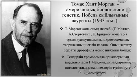 Генетика бастауы – Морган заңдылықтары - презентация онлайн