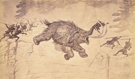 mystery  extinction  large animals  years   solved