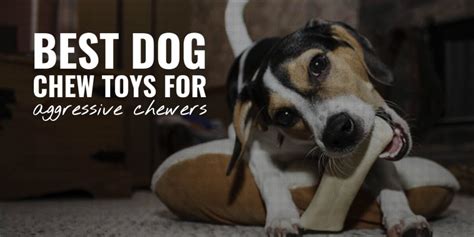 10 Best Dog Chew Toys For Aggressive Chewers