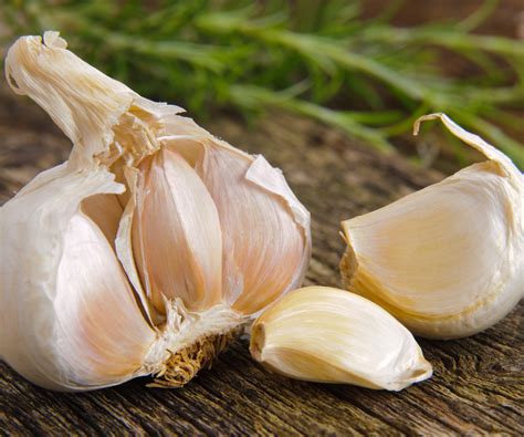 How to grow garlic in pots: expert tips for a good crop | Homes and Gardens