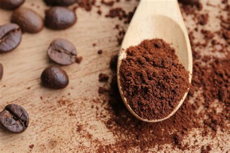 Can You Grind Coffee Beans in a Magic Bullet? Quick Tricks! - CoffeeCherish