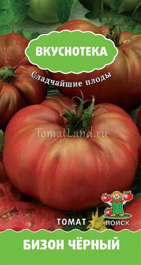 Томат Бизон черный: описание, ОТЗЫВЫ (13), фото | tomatland.ru
