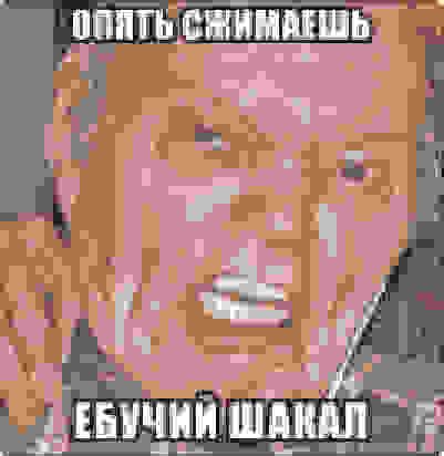 Злой дед, Сварливый дедушка, Шакал ебучий - Memepedia
