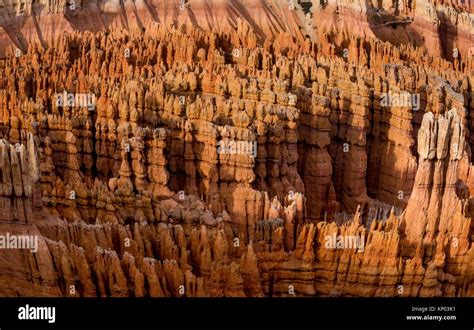 Bryce Canyon National Park's hoodoos at sunset Stock Photo - Alamy