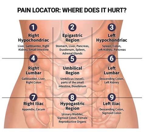 Pain Locator: Where Does it Hurt? - NYC Gastroenterologist | Manhattan ...