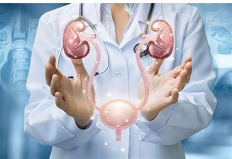 Medico Urologista Trata O Que - Urologista – o que esse médico trata? - Centro Médico de Urologia