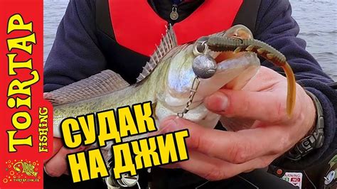 Тестируем приманку STINGER от ТМ TOIRTAP. Судак ранней весной на джиг ...